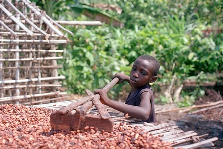 Hershey And Barry Callebaut Lag Industry In Addressing Child Labor