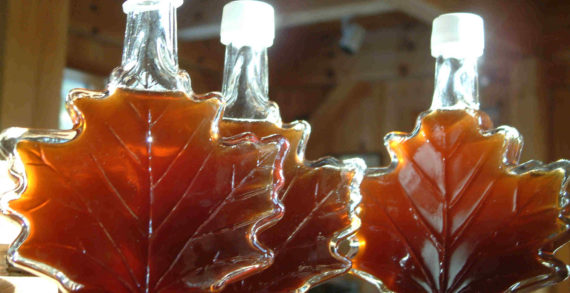 Maple Syrup Crop Delivers Both Quantity & Quality