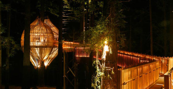 ‘Treehouse Restaurant’ Shaped Like A Cocoon Makes For A Romantic Dining Spot