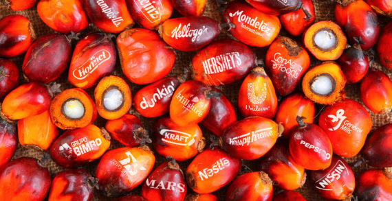 New Campaign Aims To Remove “Conflict Palm Oil” from America’s Snack Foods