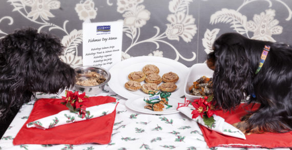 66% of UK will Prepare a Special Christmas Day Dinner… For Their Dog