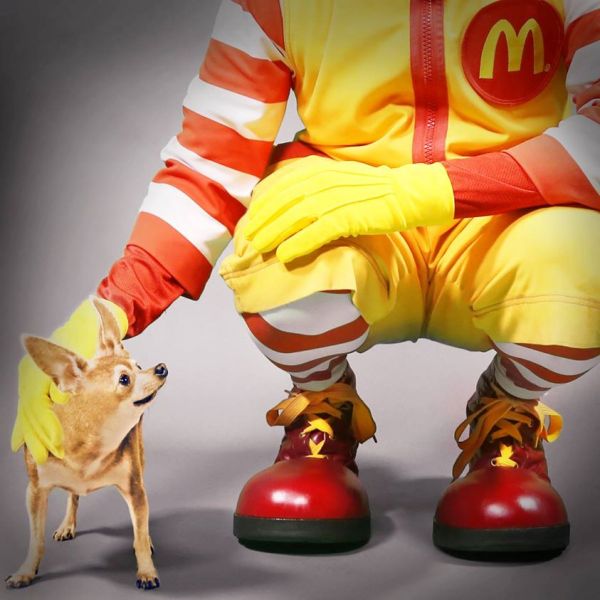 McDonald’s Hits Back At Taco Bell Ad With Chihuahua Photo & Free Coffee