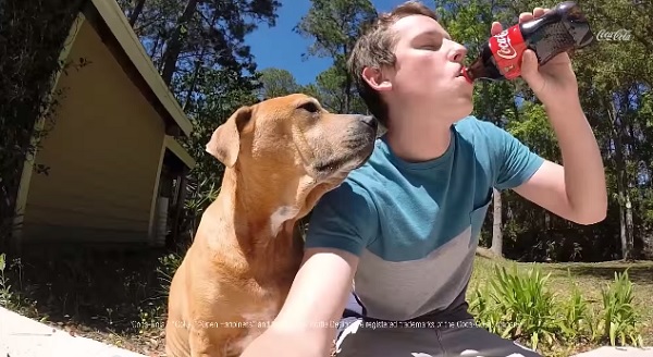 Coca-Cola Unveils A New TV Ad That Is Made Entirely By Its Fans