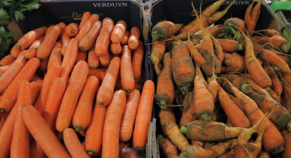 French Supermarket Sells Inglorious Fruits & Vegetables To Reduce Food Wastage