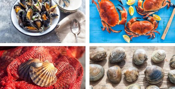 Dorset – The Seafood Capital of the UK