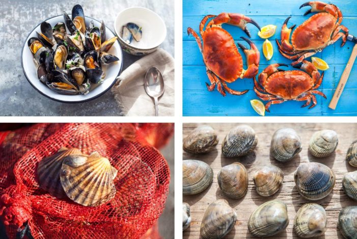 Dorset – The Seafood Capital of the UK