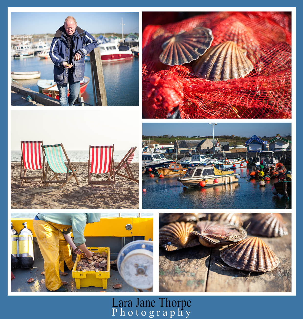 dorset seafood 2015 John Worswick