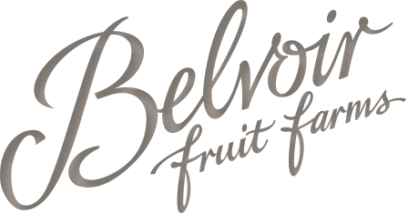 Belvoir Introduces New Ginger Punch FAB News Belvoir Introduces New Ginger Punch FAB News