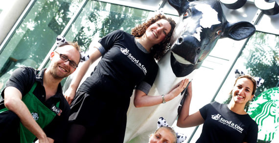 Send a Cow Partners with Starbucks to Launch a ‘Moo-sive’ Campaign