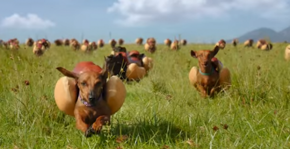 DAVID Miami’s Heinz Super Bowl Ad is a Glorious Stampede of Wieners