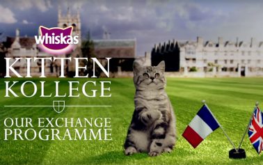 Whiskas’ Kitten Kollege Launches the Cutest Exchange Programme Ever