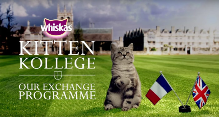 Whiskas’ Kitten Kollege Launches the Cutest Exchange Programme Ever