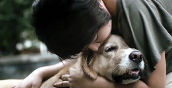 Thai Mothers Care for Their Fluffy Children in Adorable New Pedigree Spot