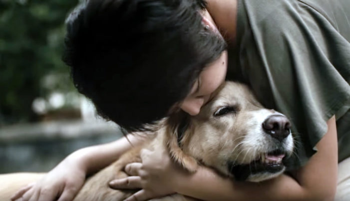 Thai Mothers Care for Their Fluffy Children in Adorable New Pedigree Spot