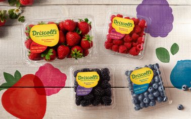 Pearlfisher Develops New Global Brand Identity For Berry Brand Driscoll’s