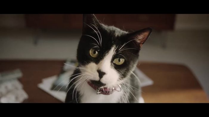 KFC and Ogilvy Sydney Tell a Tale of Two Mates and a Creepy Cat