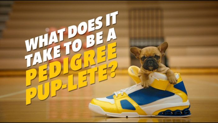 Pedigree’s Adorable ‘Pup-letes’ Hit the Court in New Ads by BBDO New York