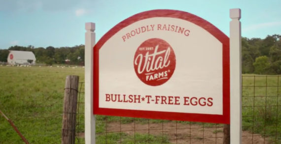 Vital Farms Calls Bullsh*t on Cage-Free Eggs with New Campaign by Preacher