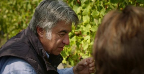 A Lidl Flavour To Savour Lidl’s Latest Advert Focuses on Wine Provenance and Quality to Win Over Wine-Sceptics