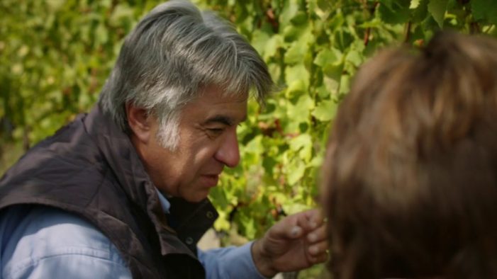 A Lidl Flavour To Savour Lidl’s Latest Advert Focuses on Wine Provenance and Quality to Win Over Wine-Sceptics