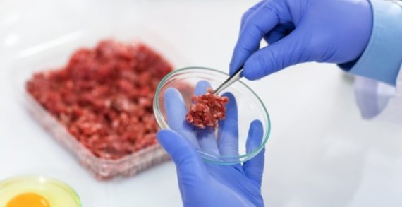 Four in Ten Brits Willing to Eat Lab-Grown Meat and Fish Within 10 Years