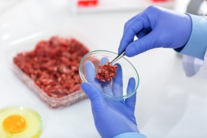 Four in Ten Brits Willing to Eat Lab-Grown Meat and Fish Within 10 Years