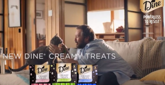 Dine Promises More Face-to-Face Time with Your Furry Friend in Latest Campaign