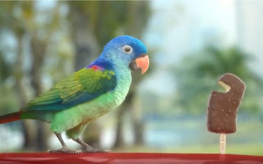 DDB Group Singapore Takes Wall’s Feast in a New Direction With the Help of a Parakeet
