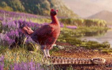 The Famous Grouse is Back in the Game as it Launches its Global Festive Campaign