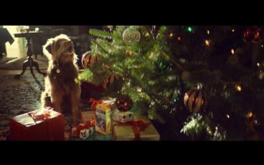 Pedigree Launches ‘The Season of Good Dog’ – An Annual Holiday Just For Dogs