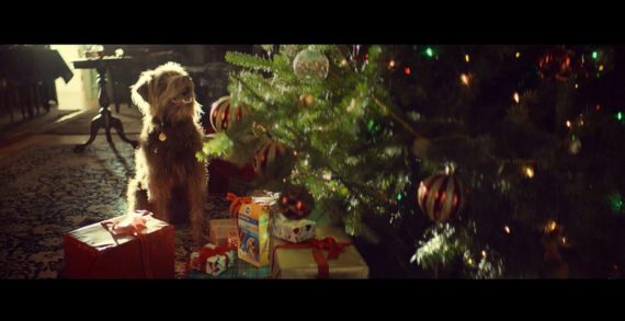 Pedigree Launches ‘The Season of Good Dog’ – An Annual Holiday Just For Dogs