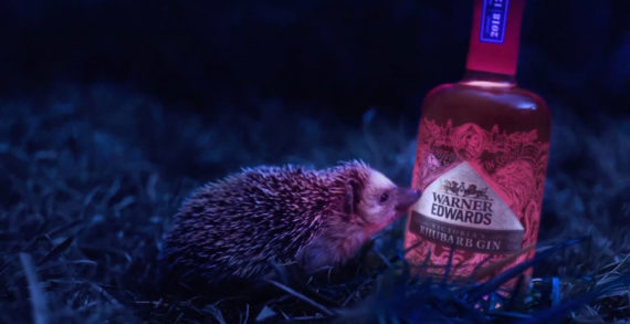 Hedgehog Wanders Through a Field of Gin in Pablo’s First Warner Edwards Work