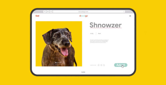 Pet Food Brand Güd Hacks Common Misspelled Dog Breed Names on Google to Drive Adoption