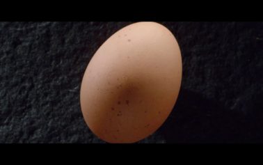 TBWA/Paris Produces a Compelling Hymn to McMuffins for McDonald’s