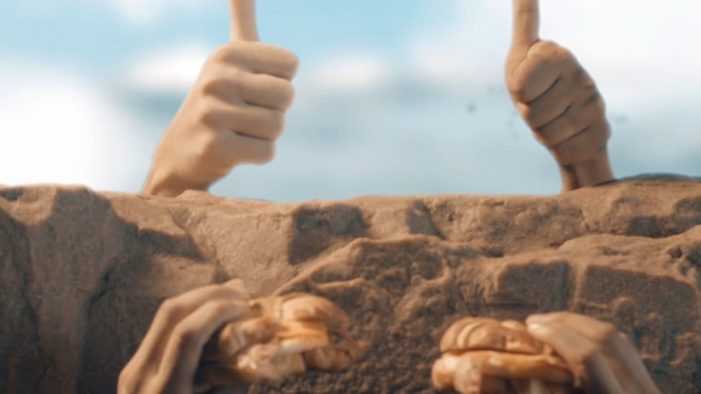 Complete Waste of Hands