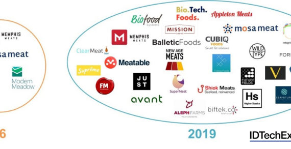 Cultured Meat: Just Around the Corner?