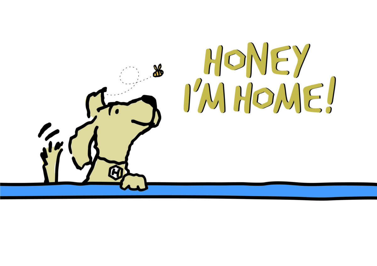 Honey Im Home title