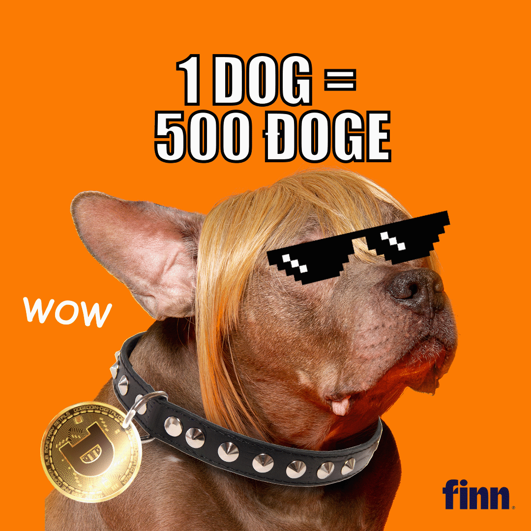 Pet Food Brand Finn To Boost Dog Adoptions To The Moon With Dogecoin Cryptocurrency Fab News