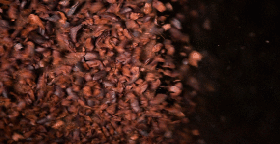 Inside Firetree’s Melting Pot: A Rare Glimpse Inside The World Of Luxury Chocolate Making