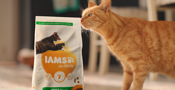 National Pet Week Marks The Launch Of IAMS’ New National Brand Campaign