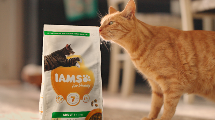 National Pet Week Marks The Launch Of IAMS’ New National Brand Campaign