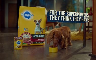 Mars Petcare Brand Launches NEW “Hero-ish” Campaign