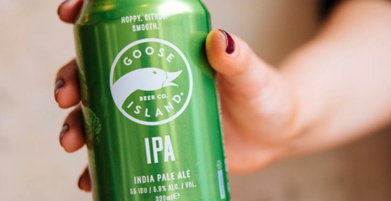 Goose Island select Digital Natives for UK Instagram Launch