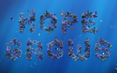 SHEBA® Announces World’s Largest Coral Restoration Program in a campaign created by AMV BBDO
