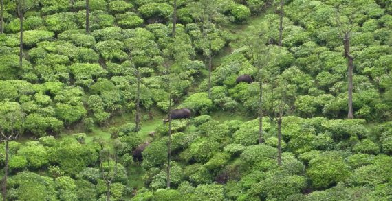 Brits are blind to food biodiversity crisis