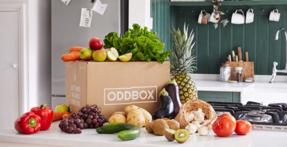 Oddbox appoints Hell Yeah! as above the line creative agency