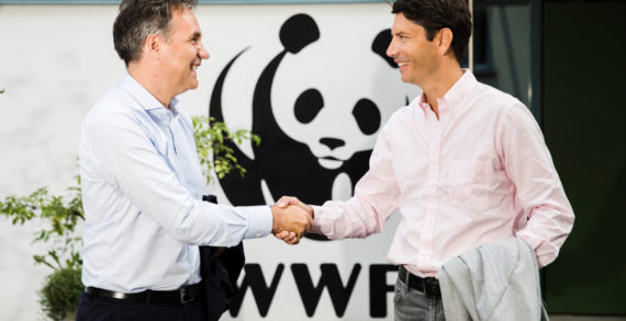 SIG signs major new partnership with WWF Switzerland to support thriving forests