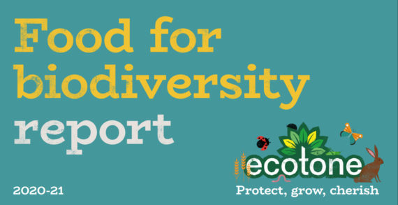 ECOTONE BECOMES THE WORLD’S HIGHEST SCORING GLOBAL FOOD BUSINESS IN B CORP RE-CERTIFICATION
