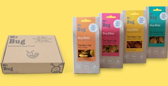 <strong>MR BUG BRINGS OUT ITS ‘GRUBBY’ GIFT BOX FOR DESERVING DOGS                                 </strong>