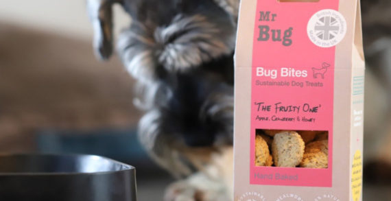 MR BUG ENJOYS UPBEAT MINTEL SHOUT-OUT IN LATEST PET FOOD REVIEW 